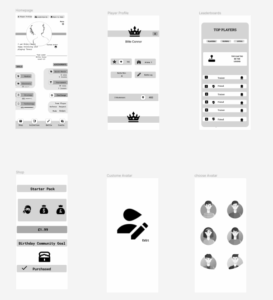 proto type