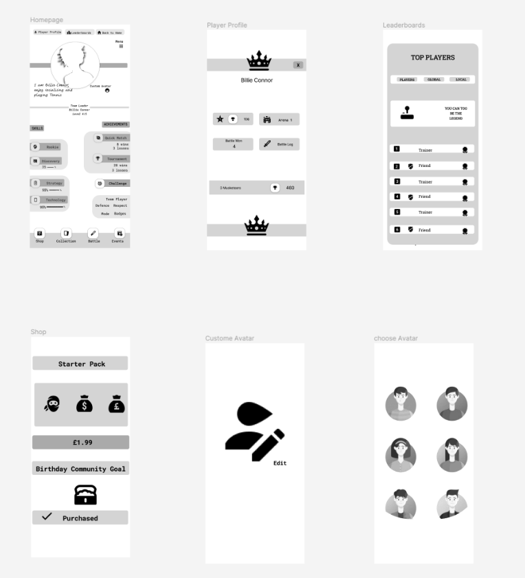 proto type